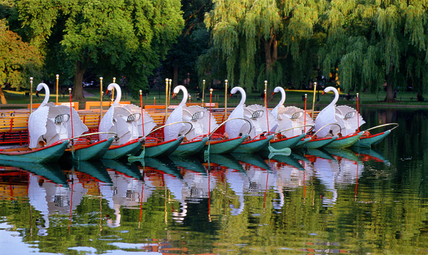 http://www.yanucciphotography.com/images/galleries/boston_ne/Swan_Boat__Boston_Public_Ga.jpg